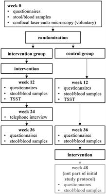 Mind-body-medicine and comprehensive lifestyle-modification in patients with Crohn's disease—Feasibility of a randomized controlled trial under pandemic circumstances